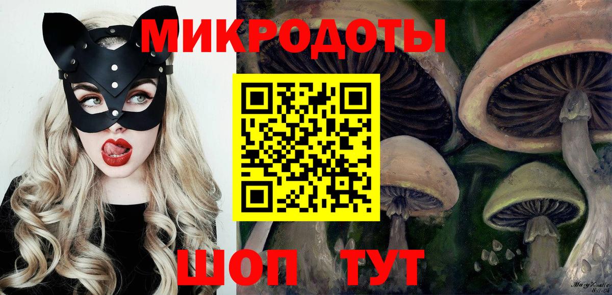 Саранск  Псилоцибиновые грибы ЛСД  Вход с VPN 